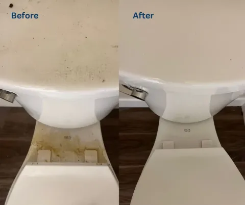 Toilet before and after